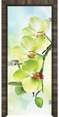 Стъклена врата Print G 13-3 Green, Райски орех