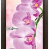 Стъклена врата Print G 13-3 Pink, Златен кестен