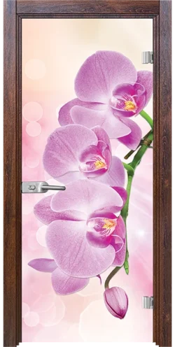 Стъклена врата Print G 13-3 Pink, Японски бонсай